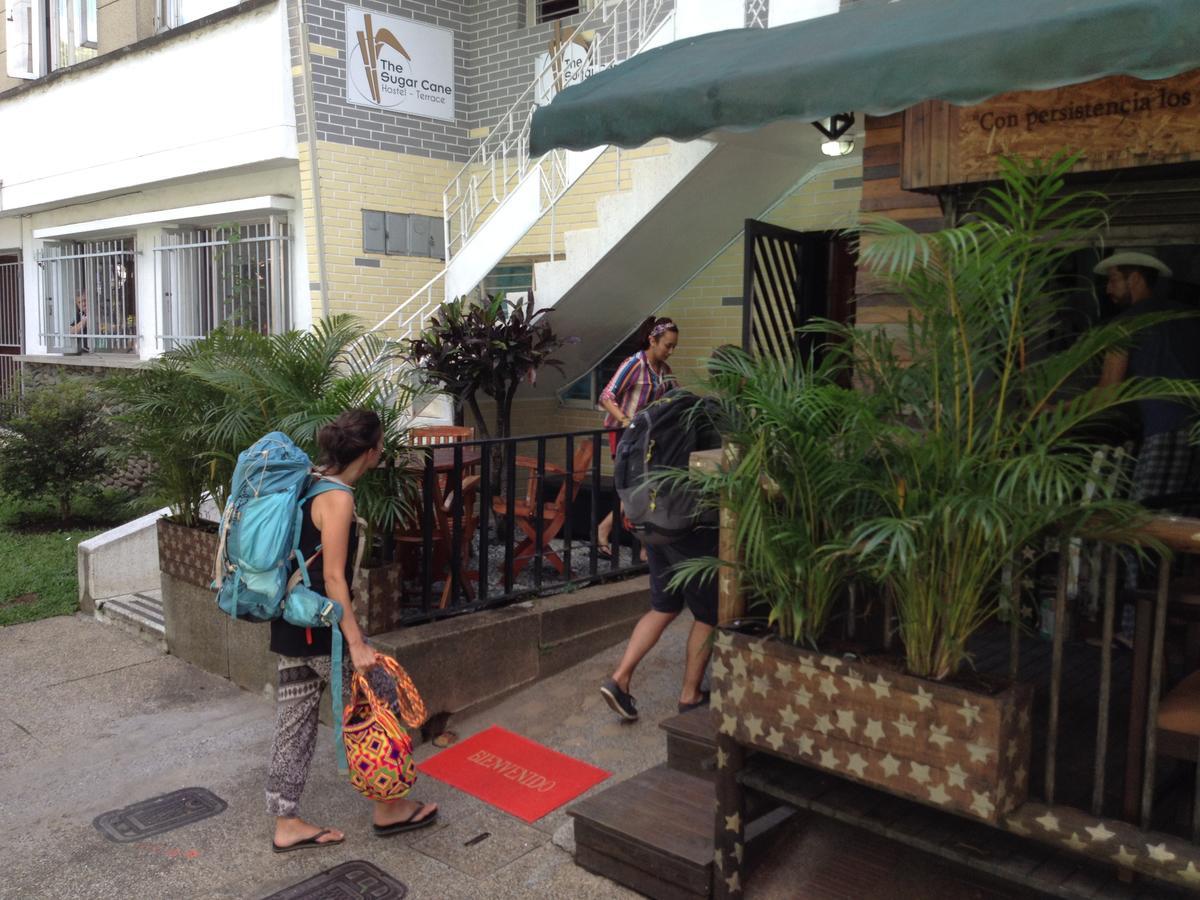 The Kings And Queens Hostel Medellín Kültér fotó